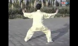 八段锦标准口令视频,轻松入门，养生保健操